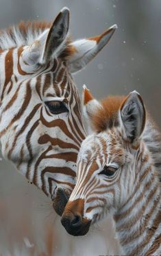 Random generated image - 2025-01-16 15:47:14